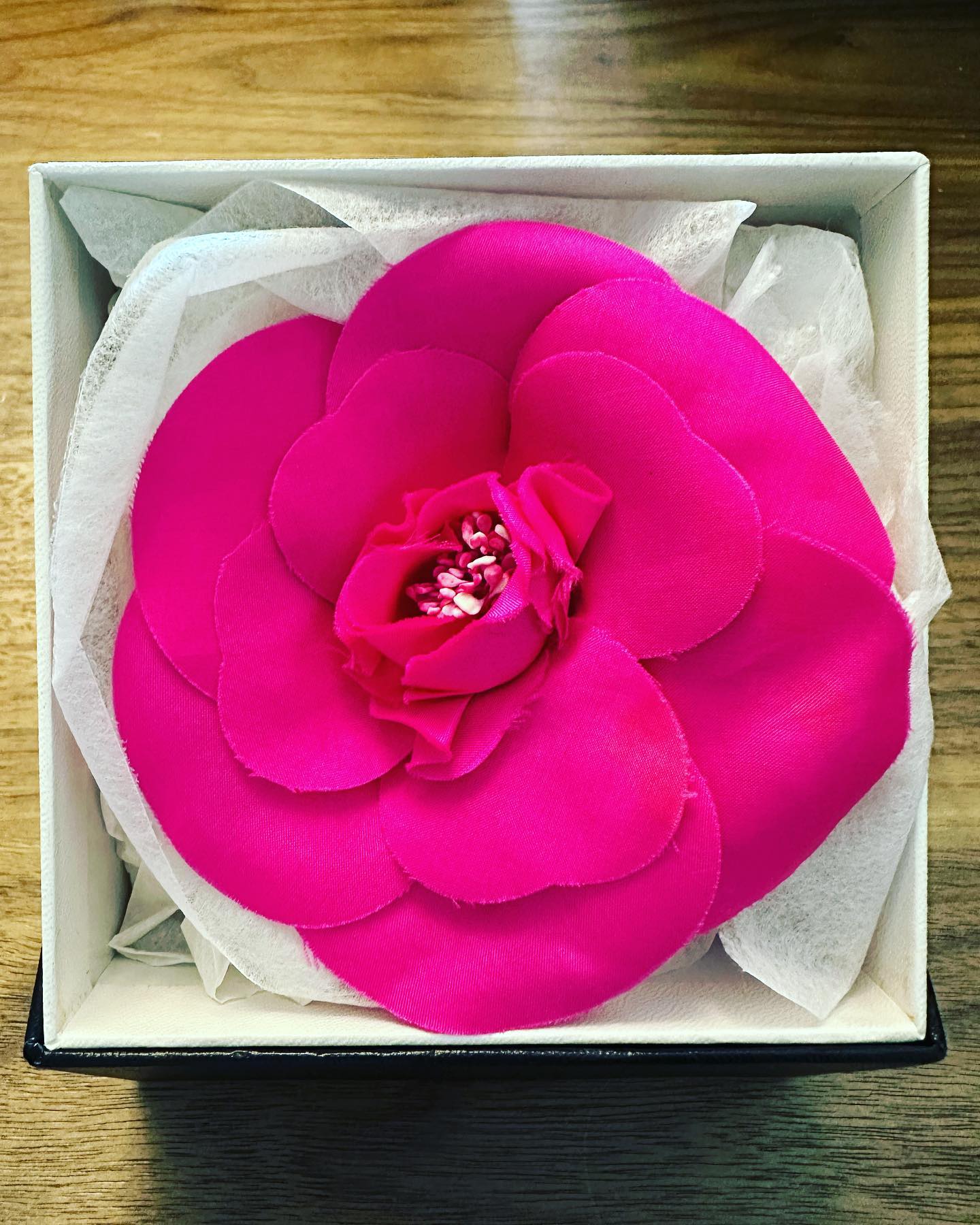 陳山聰賽前獲太太Apple送上桃紅色的心口針配襯服飾。