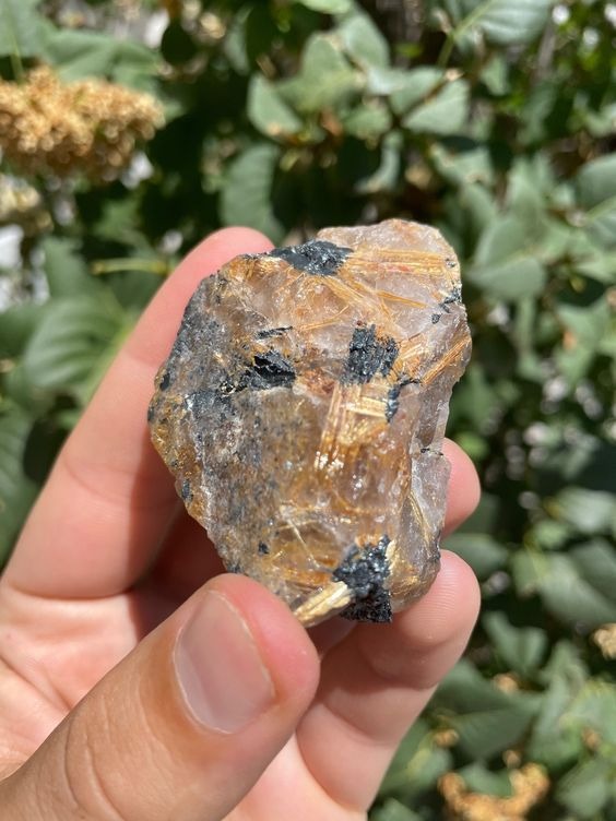 金鈦晶招正偏財