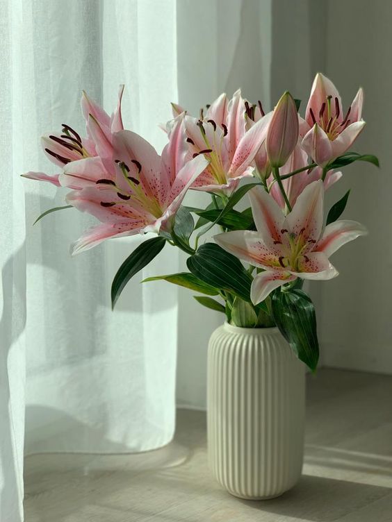 百合不但有催旺夫婦感情的寓意，亦代表著事事如意。