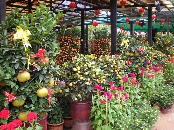 農曆新年好去處:行年宵、花市