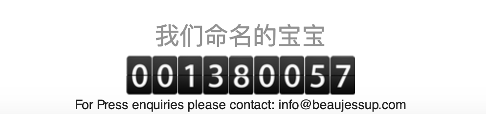 Jessup的網站已經為超過130萬位孩子改英文名字