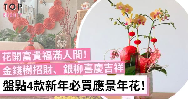 農曆新年23 除了富貴竹之外的4款盆栽擺設推介開運招財家中風水都變好 Topbeauty