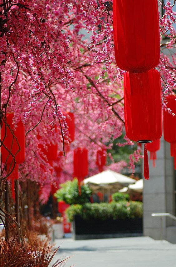 「髮」與「發」的諧音近似，因此髮在農曆新年也有發財致富的寓意