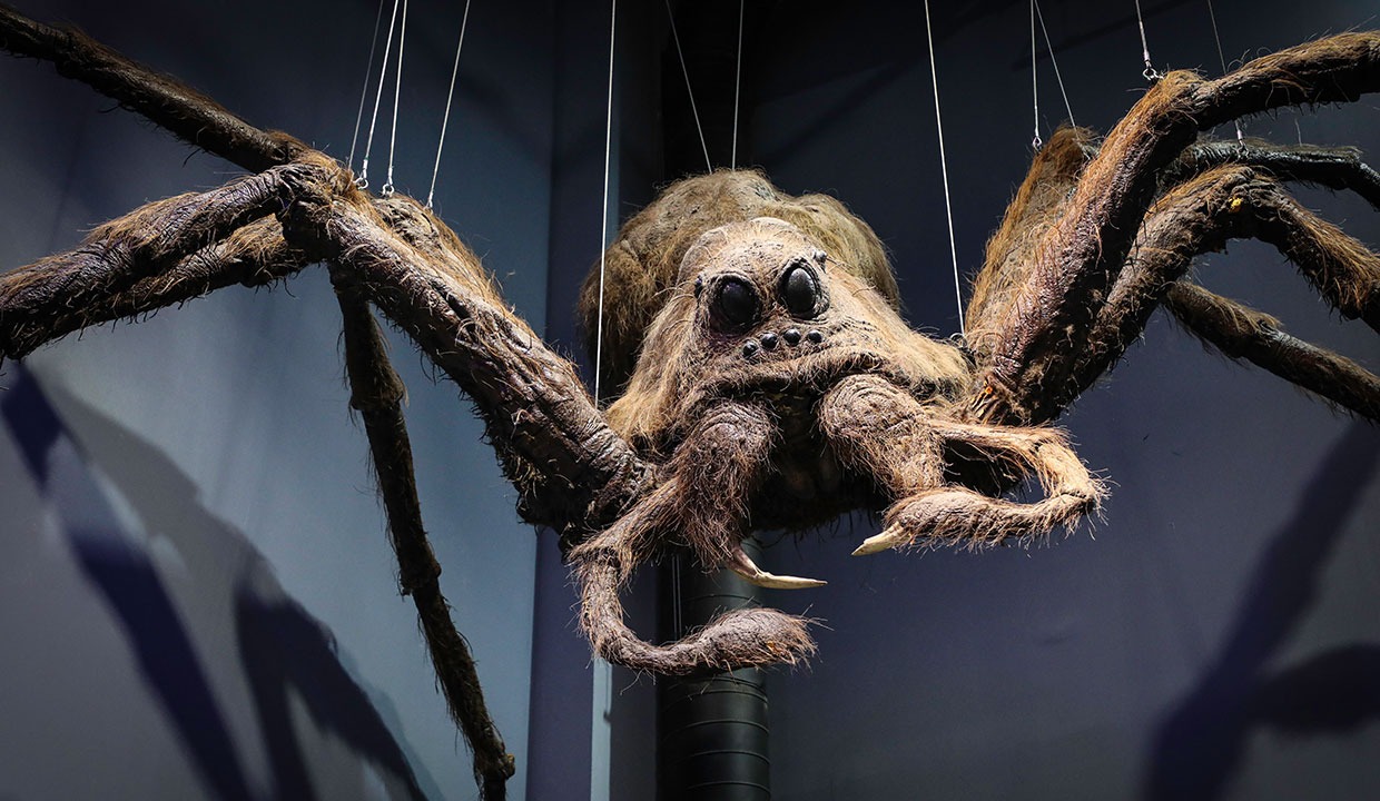 遊客是透過參觀的方式,在影城內親身體驗電影中的經典場景。