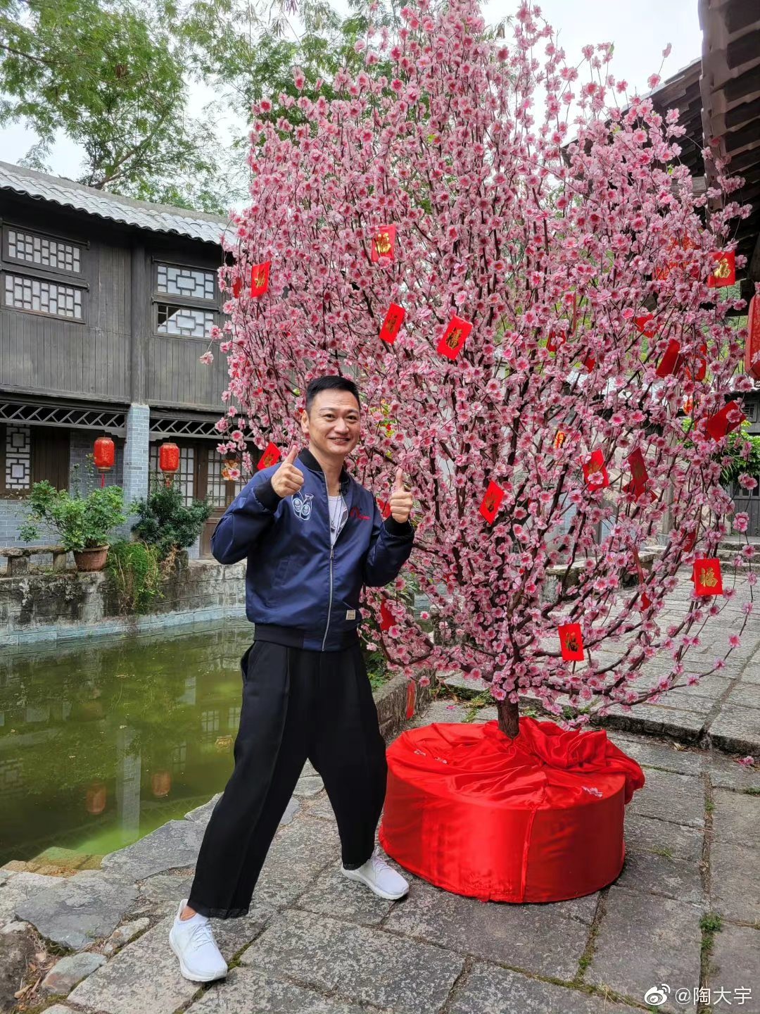 令他當時的太太黃慧寶提出離婚,正式結束7年婚姻,陶大宇亦因此形象受損,事業陷入低潮。