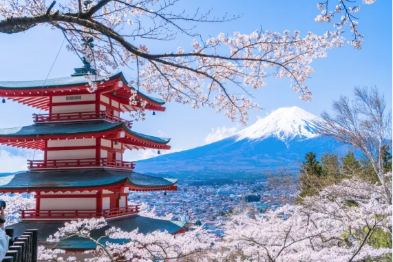日本山梨縣的新倉山淺間公園因彙聚了富士山、五重塔、櫻花大道等僅可一見的絕景景點而引人注目。