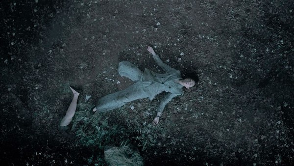 胡定欣拍攝此幕時全程與空氣對戲，野狗只是後期加上的特效。