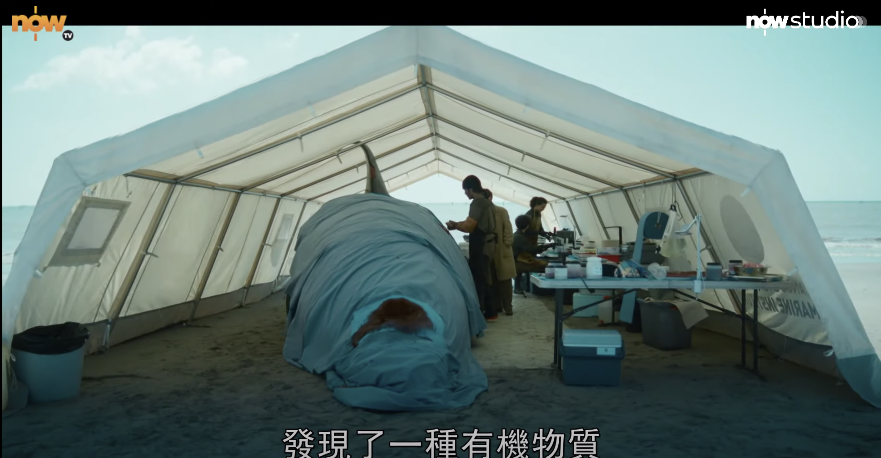 《群》以環保為議題