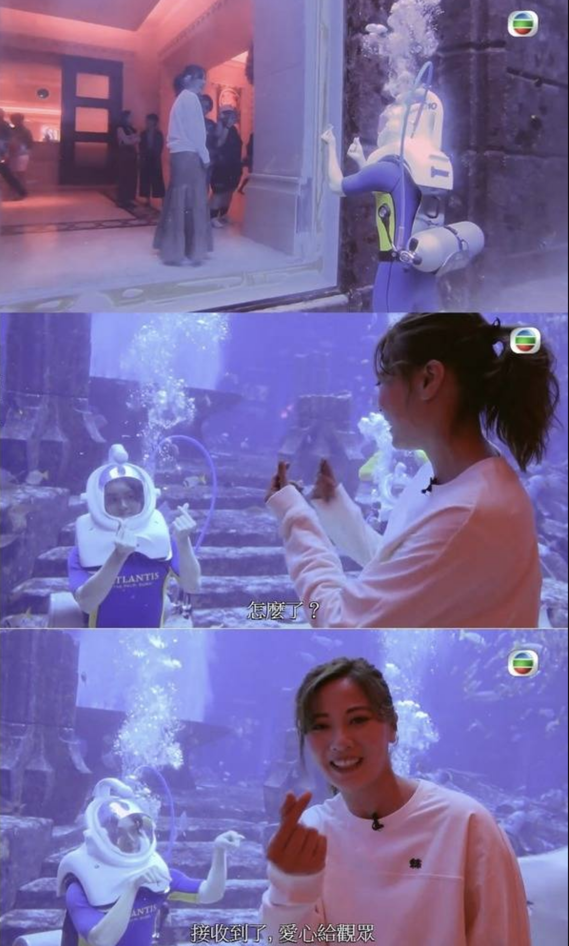 何廣沛與朱晨麗拍攝旅遊節目《3日2夜》