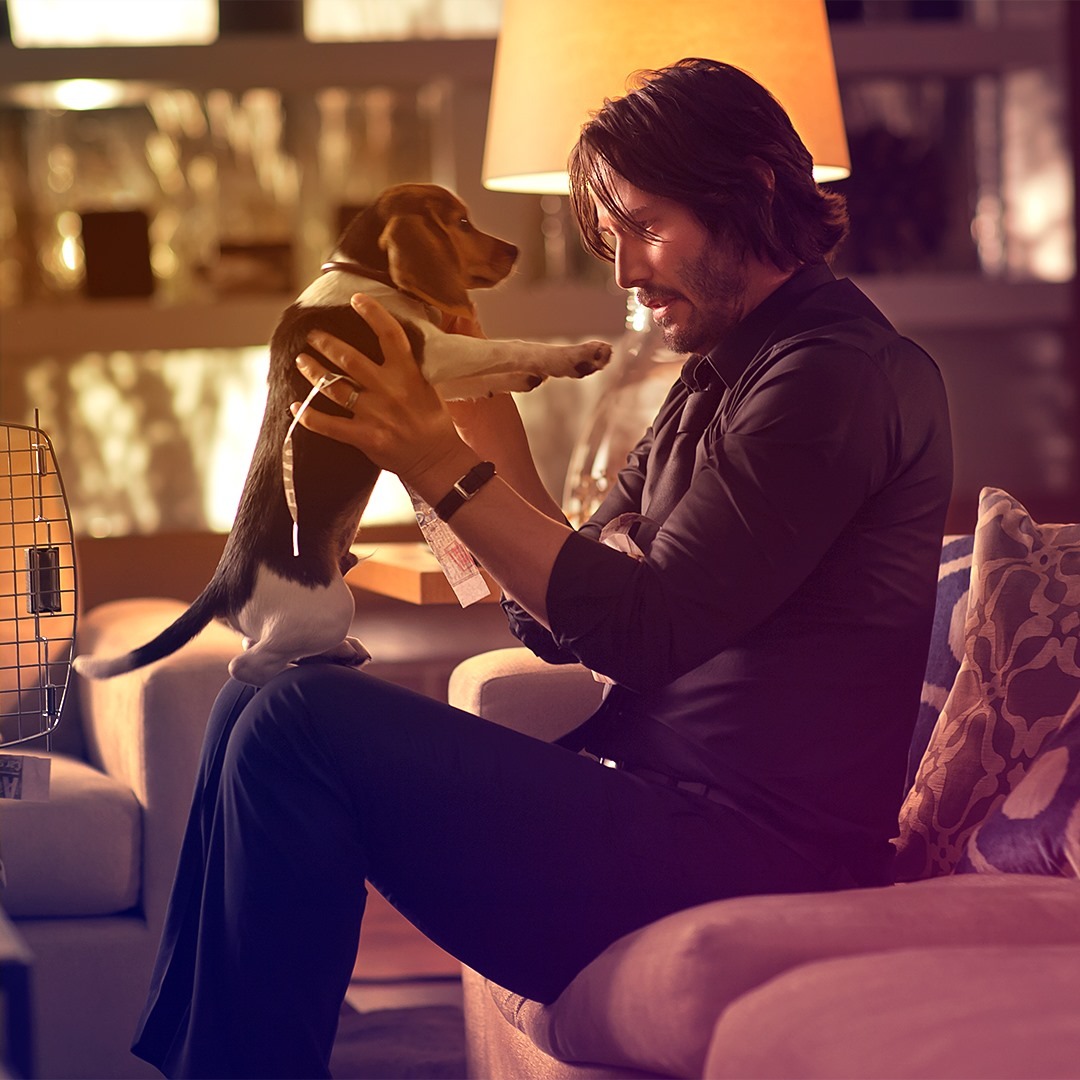 《殺神John Wick》系列由2014年推出