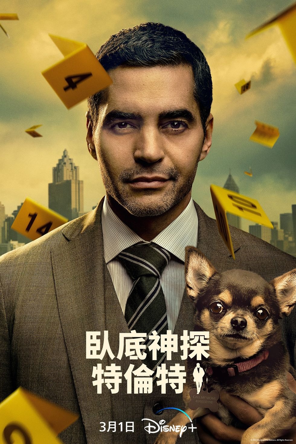 《臥底神探特倫特》