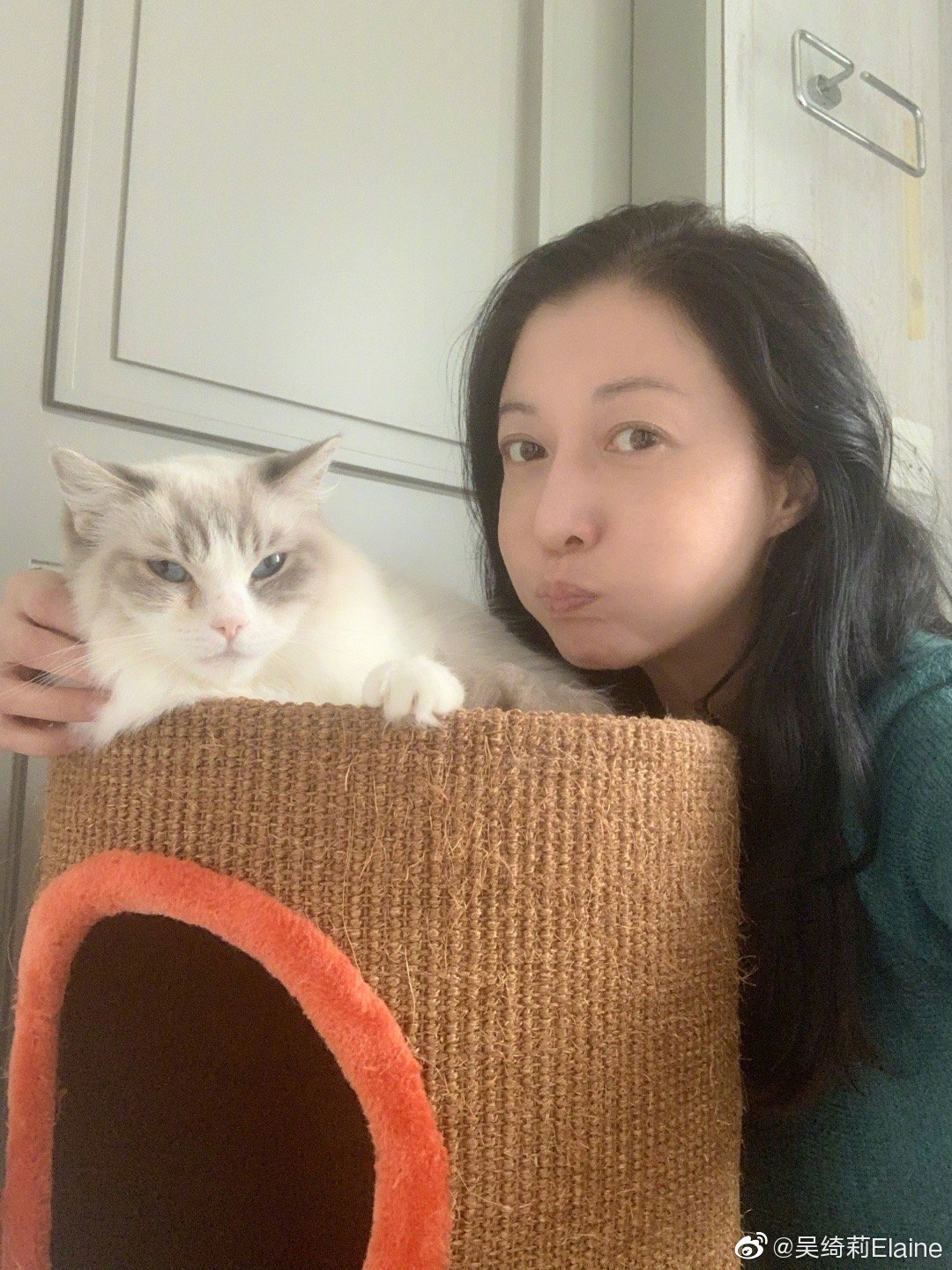 吳綺莉當年公開承認懷有成龍的骨肉。