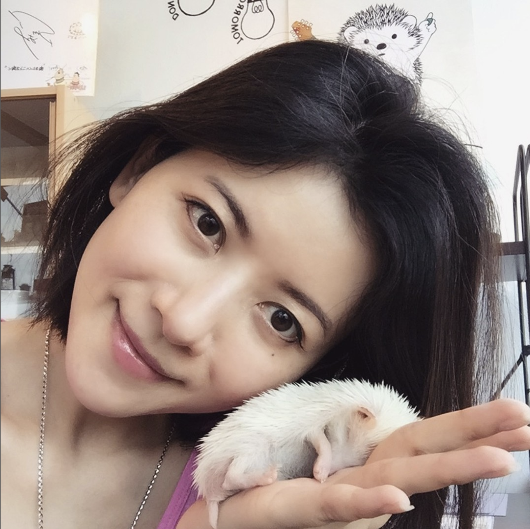 陳霽平分享了一張近照，手中捧著一隻睡覺的小刺蝟。