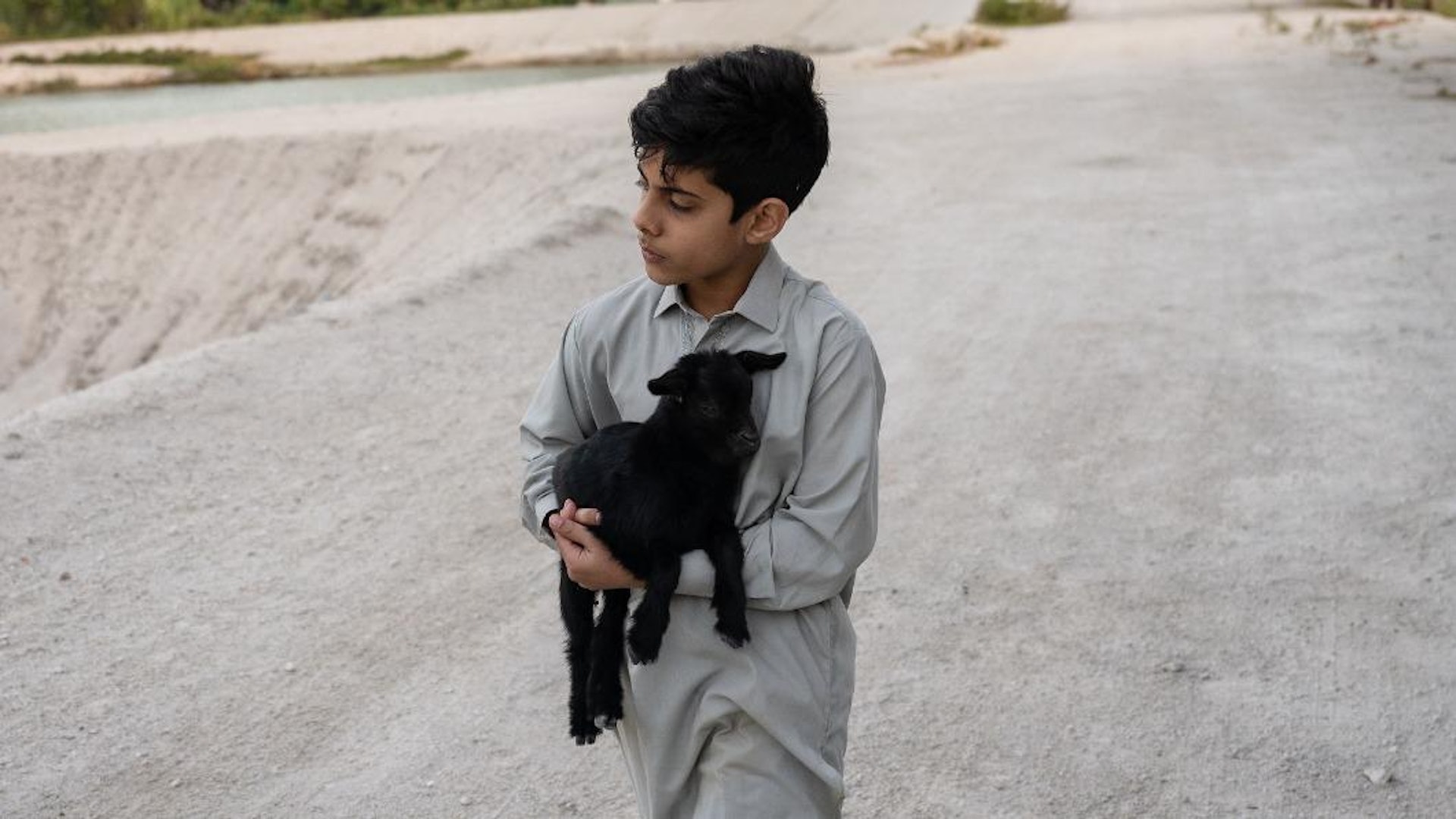 林諾在《白日青春》的表現出色。