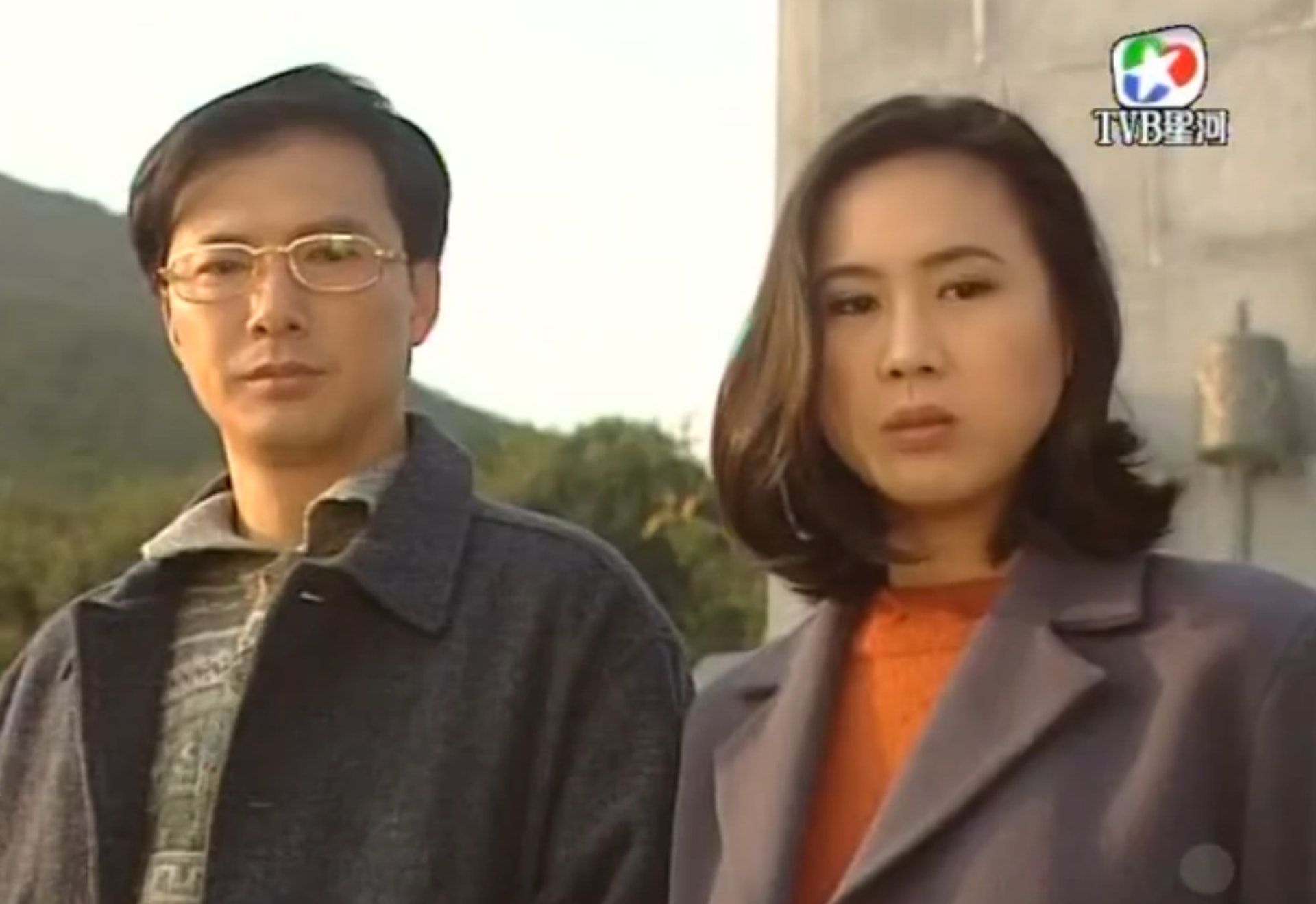 梁詠琳在TVB劇集大多飾演有錢人、情婦或情緒有問題的角色。