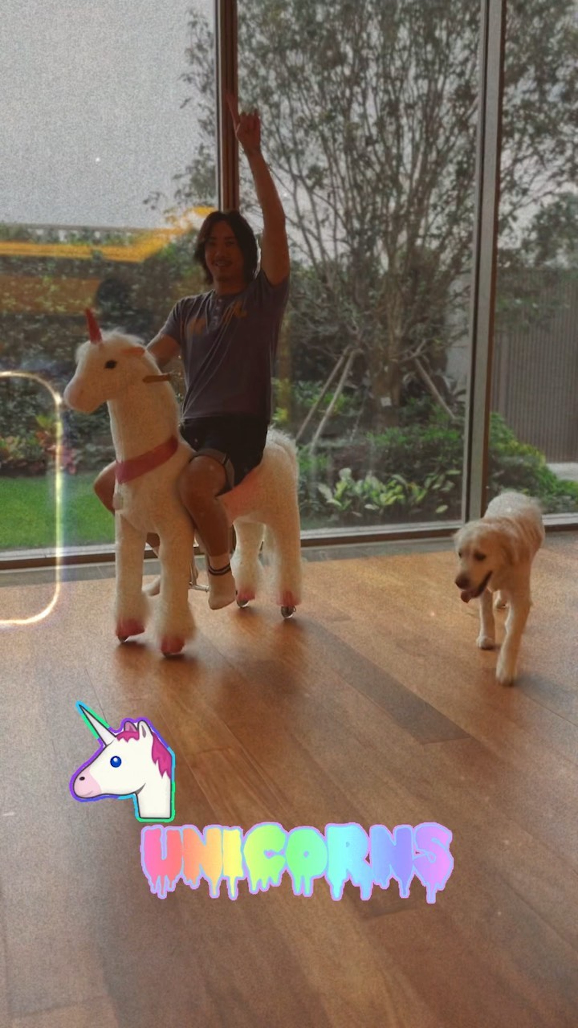 張繼聰與囡囡張靖於巨型客廳中「騎馬」