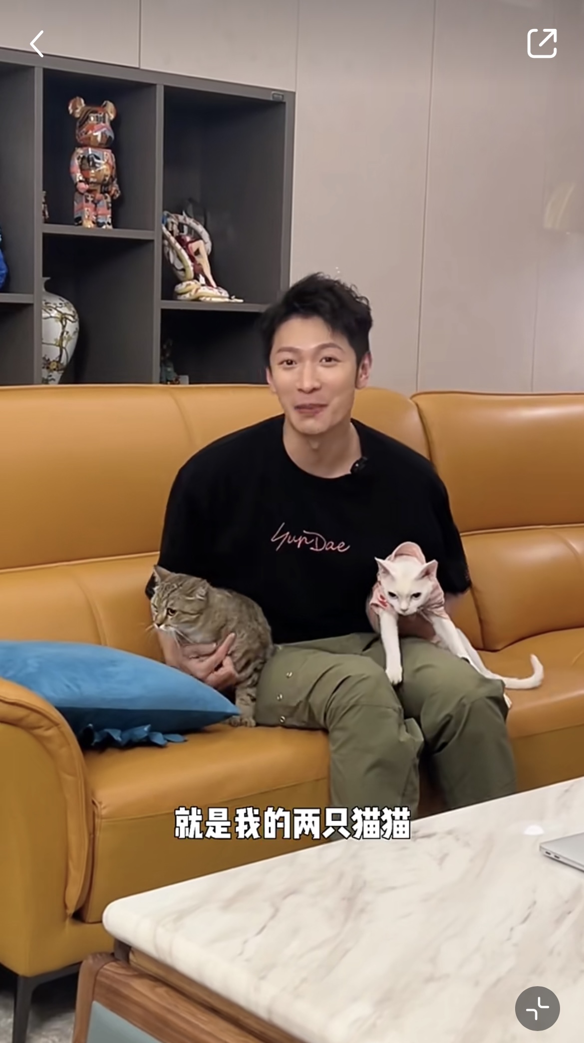 高鈞賢與兩隻愛貓