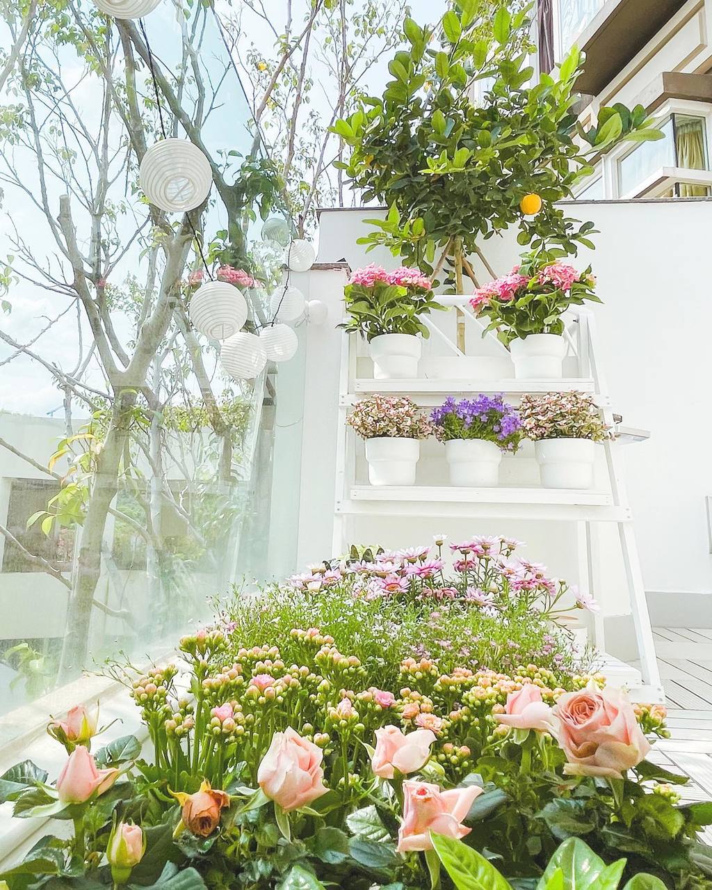 種了不少植物。