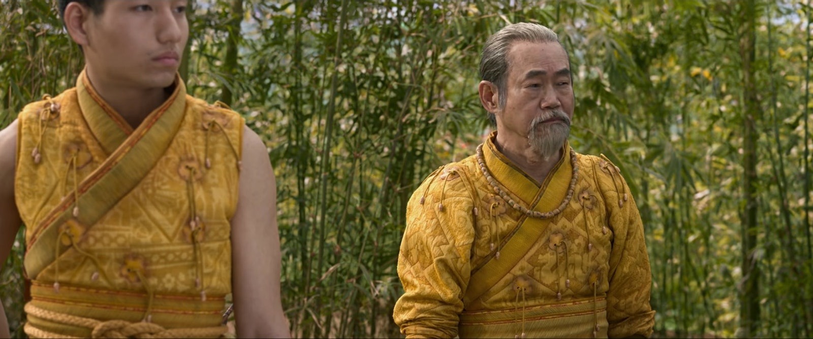 元華曾是李小龍御用替身