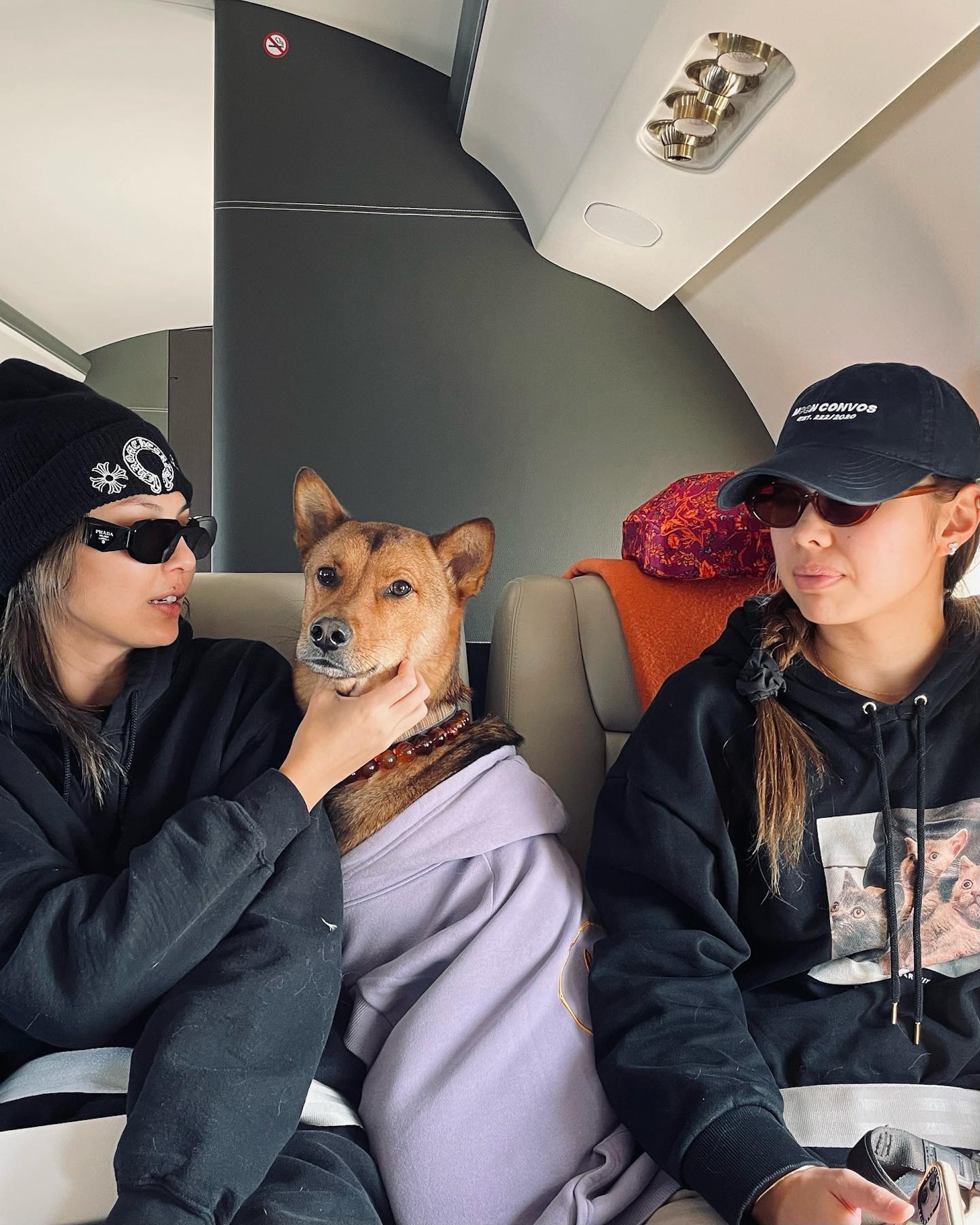 狗狗跟主人一起坐上真皮坐椅,認真識嘆!