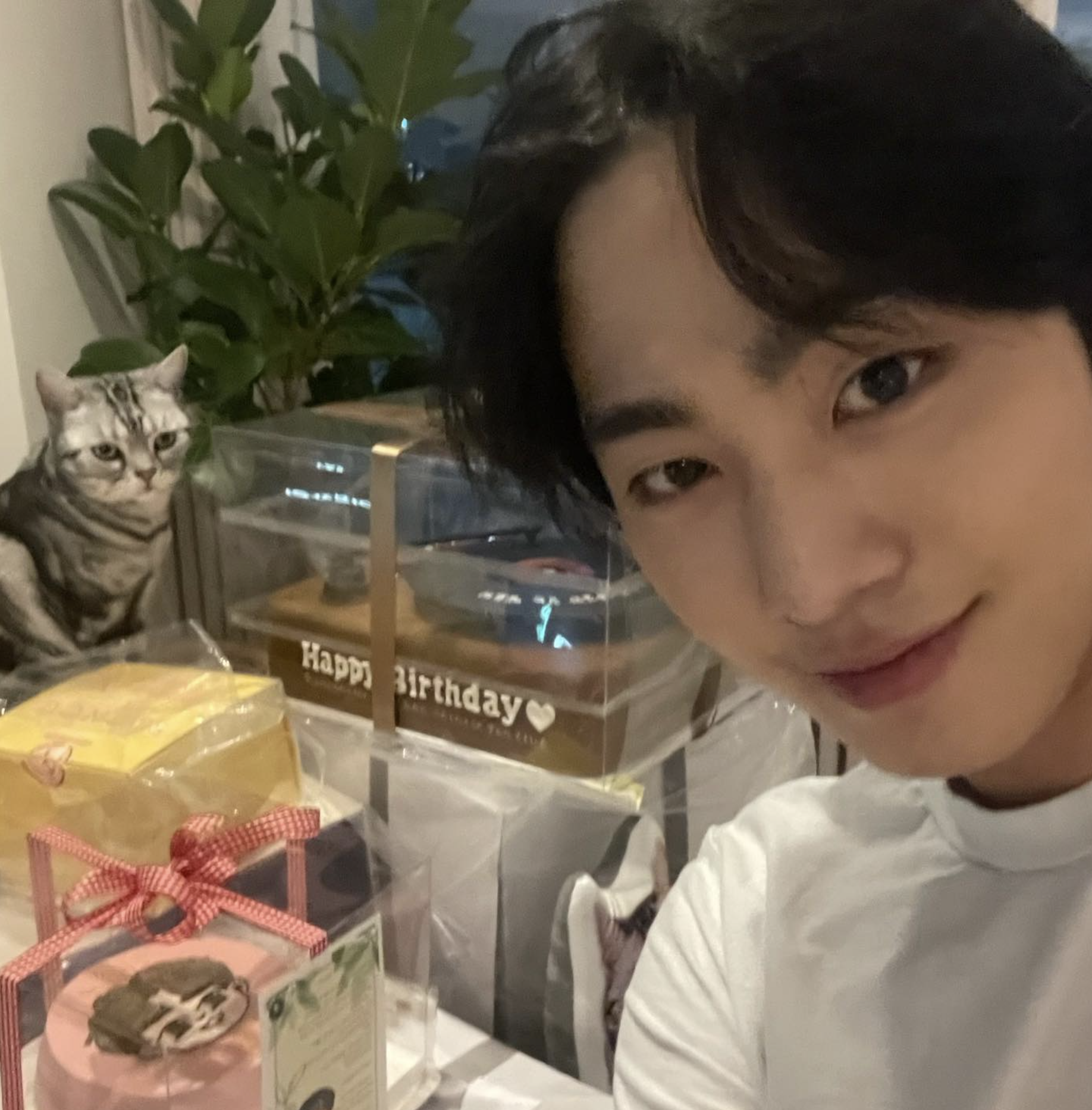 安孝燮決定向演員方向發展事業