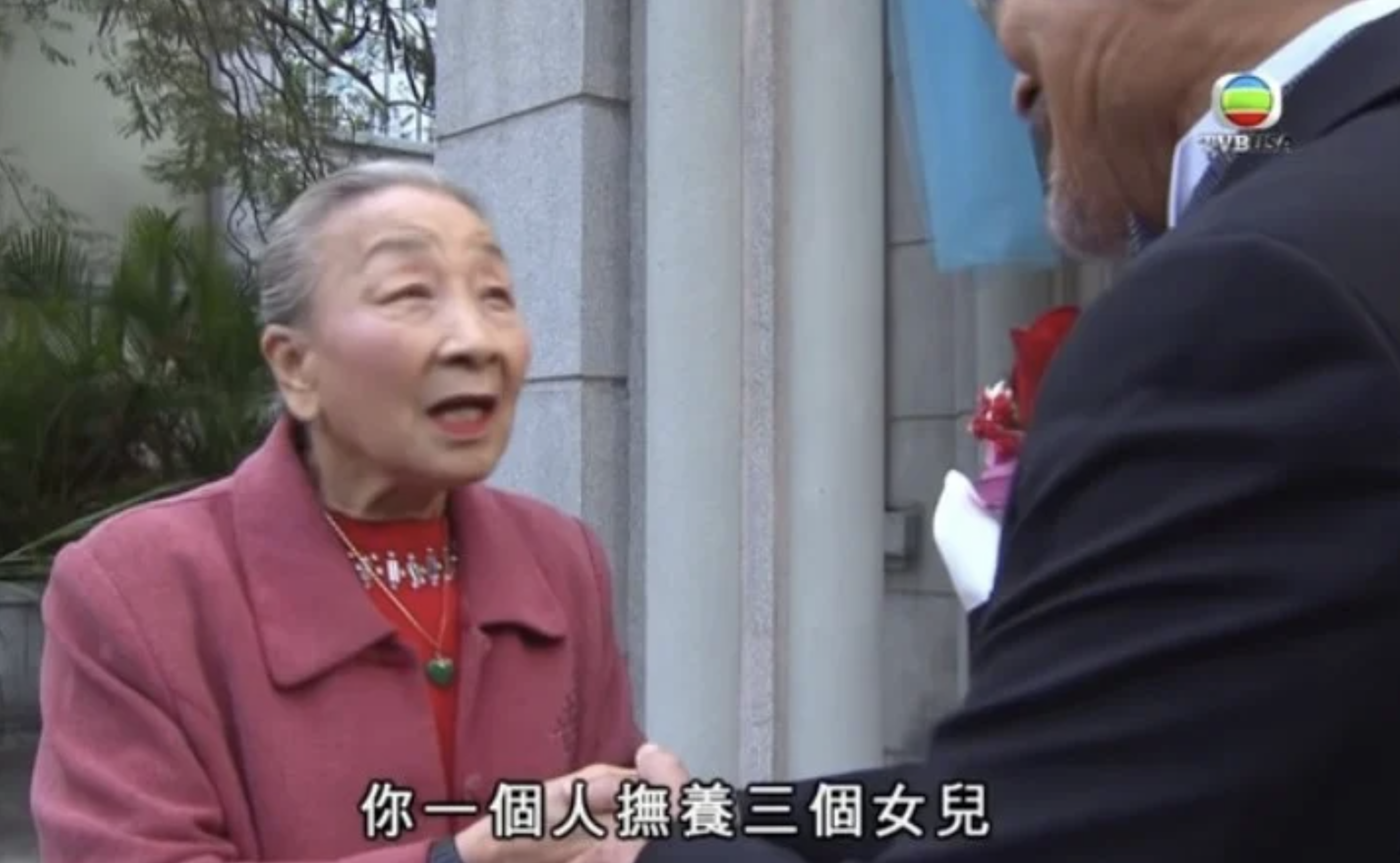 楊依依拍攝過多部出名的劇集，例如TVB劇集《我的野蠻奶奶》、《溏心風暴之家好月圓》。