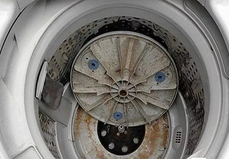 洗衣機不清潔3年藏菌量是廁所的530倍!
