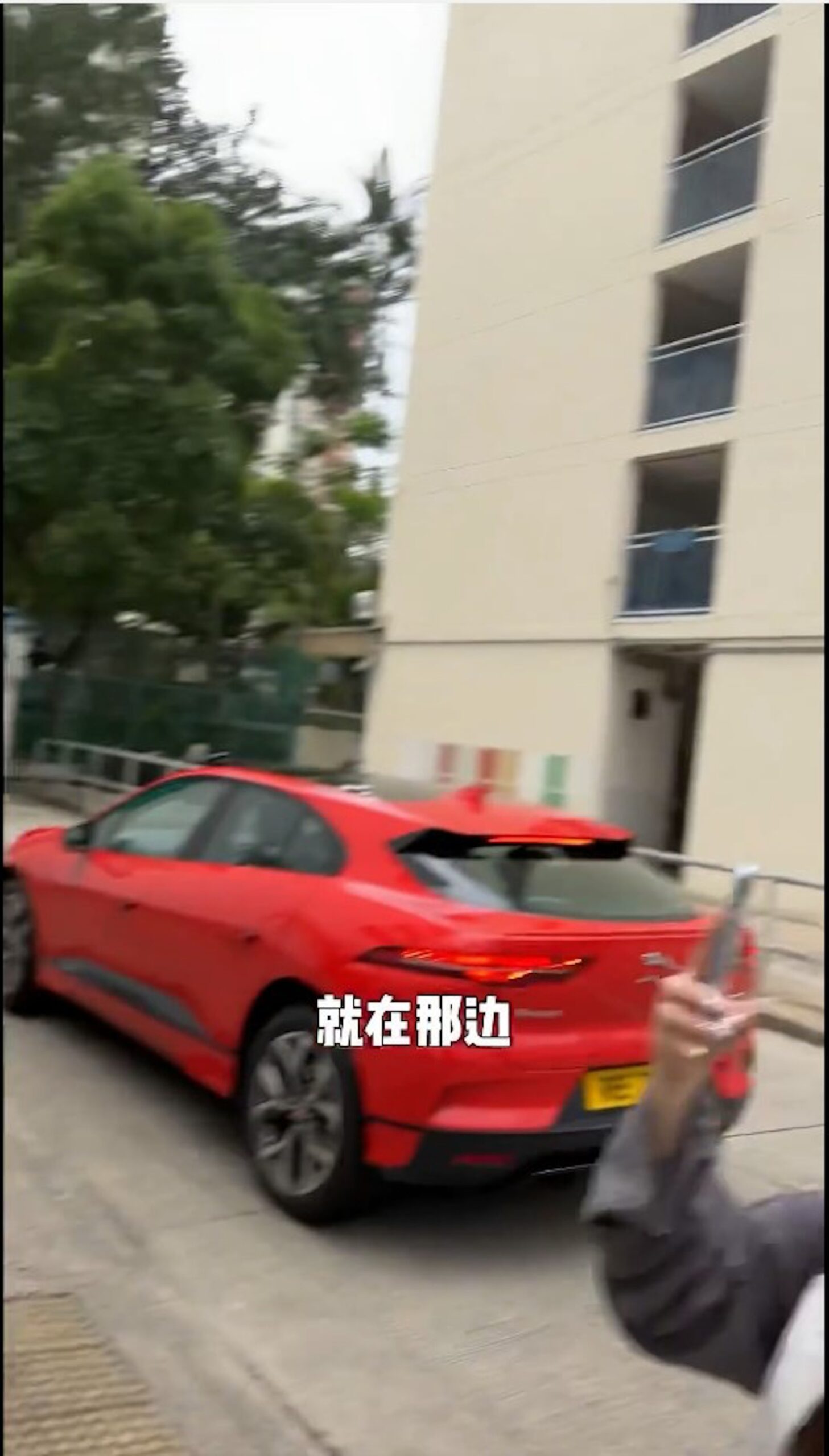王祖藍今次揸英國品牌紅色積架(Jaguar)跑車返母校,售價至少過百萬。