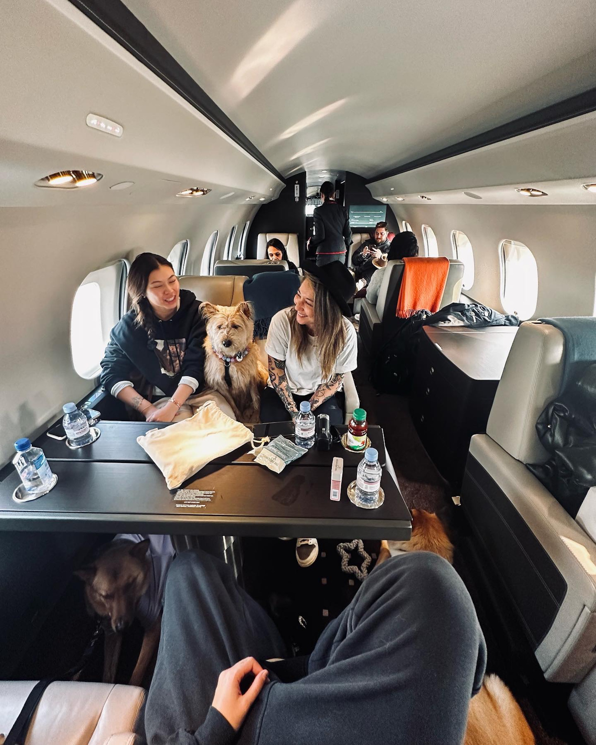 王曼喜與太太帶同愛犬一起搭私人飛機舉家搬屋。