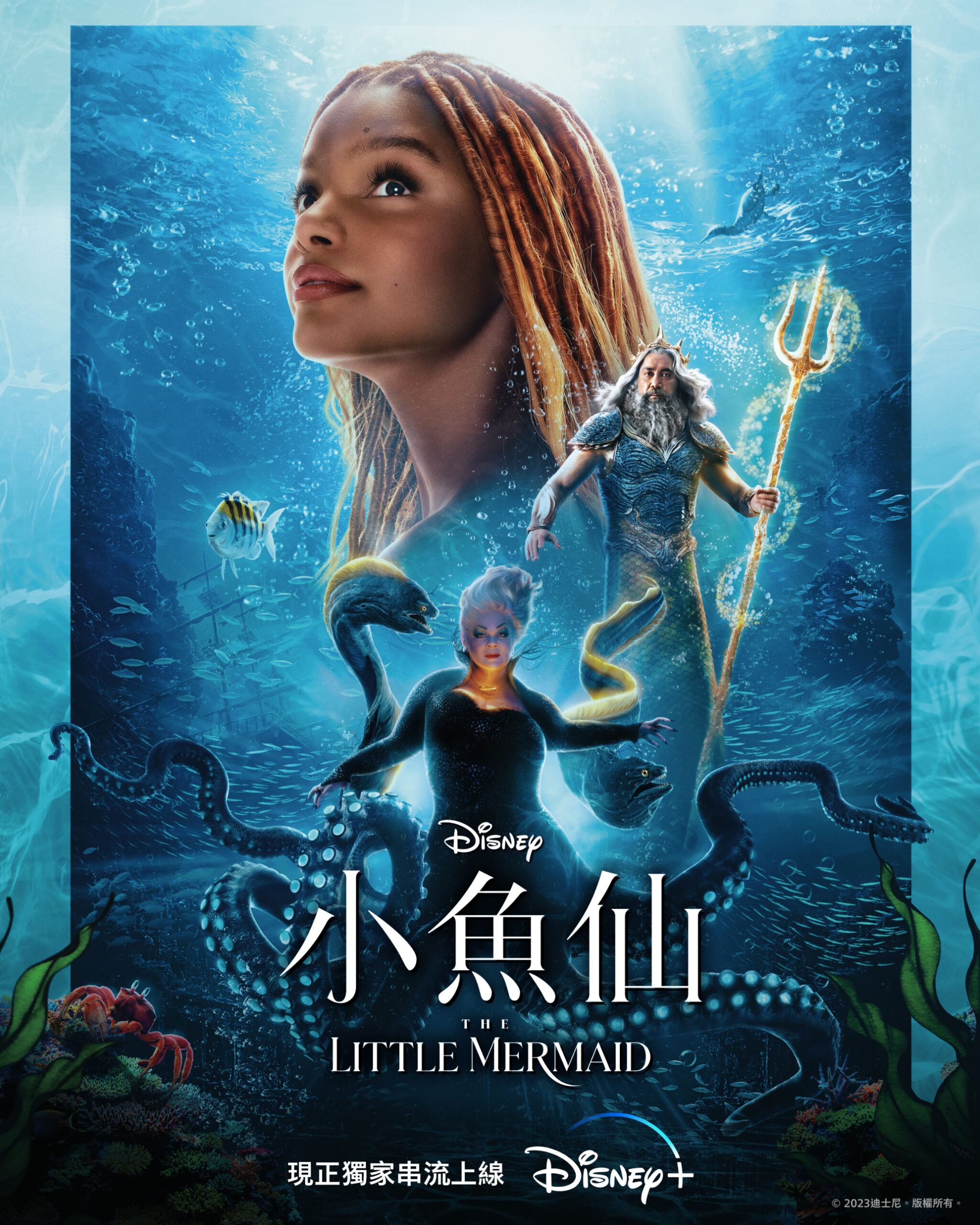 迪士尼《小魚仙》｜現已獨家串流上線