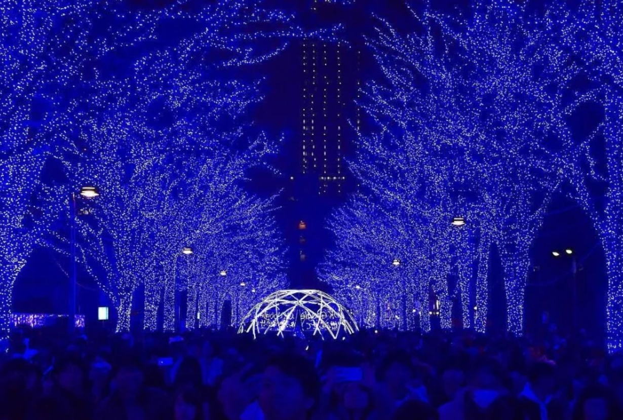 「青之洞窟」燈每年總是吸引超過上百萬人次參與這場東京年底最受矚目的盛會