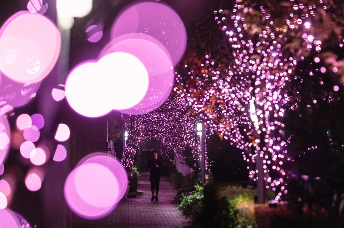 目黑川是東京的人氣賞櫻勝地之一