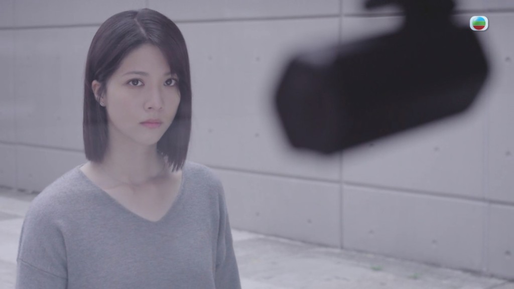 陳曉華以不正當手段獲得車Cam片段。