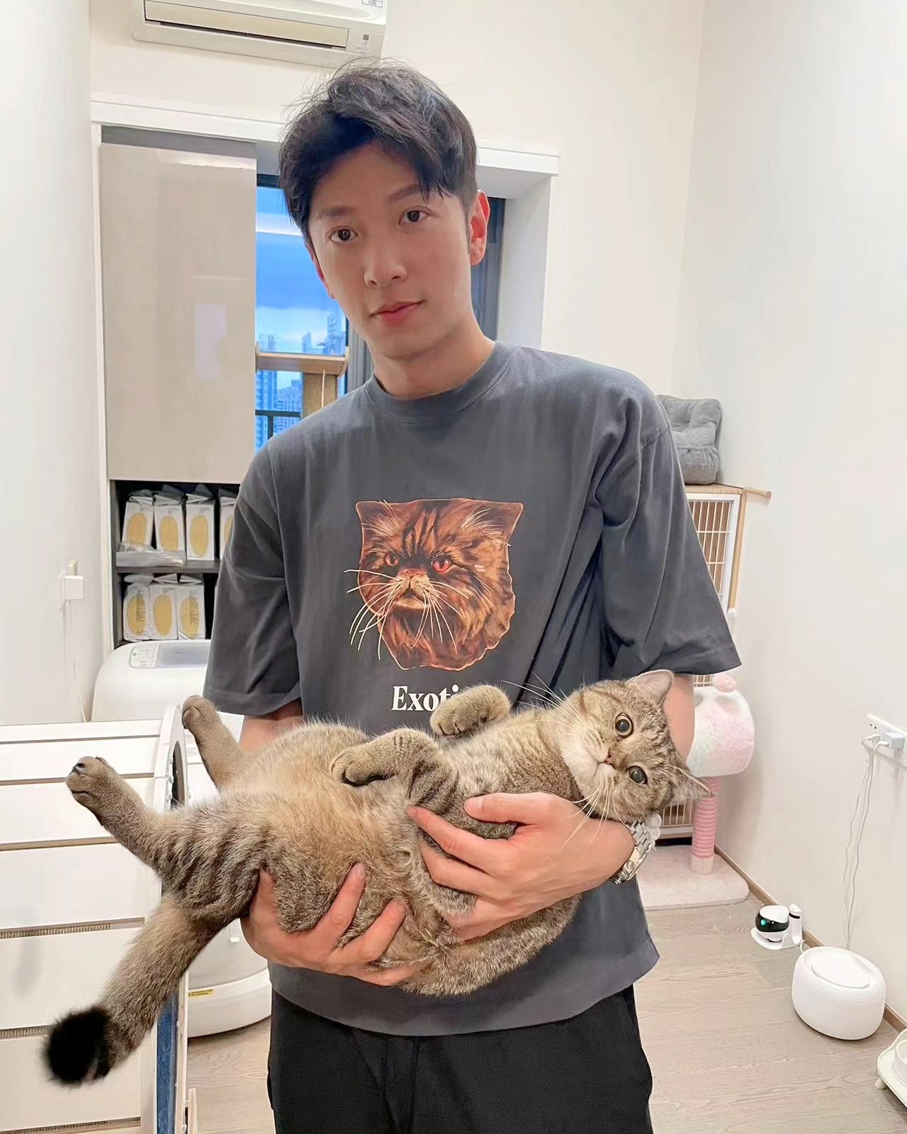 屬鼠明星代表:高鈞賢