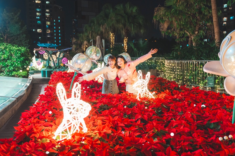 「浪漫星光花海」