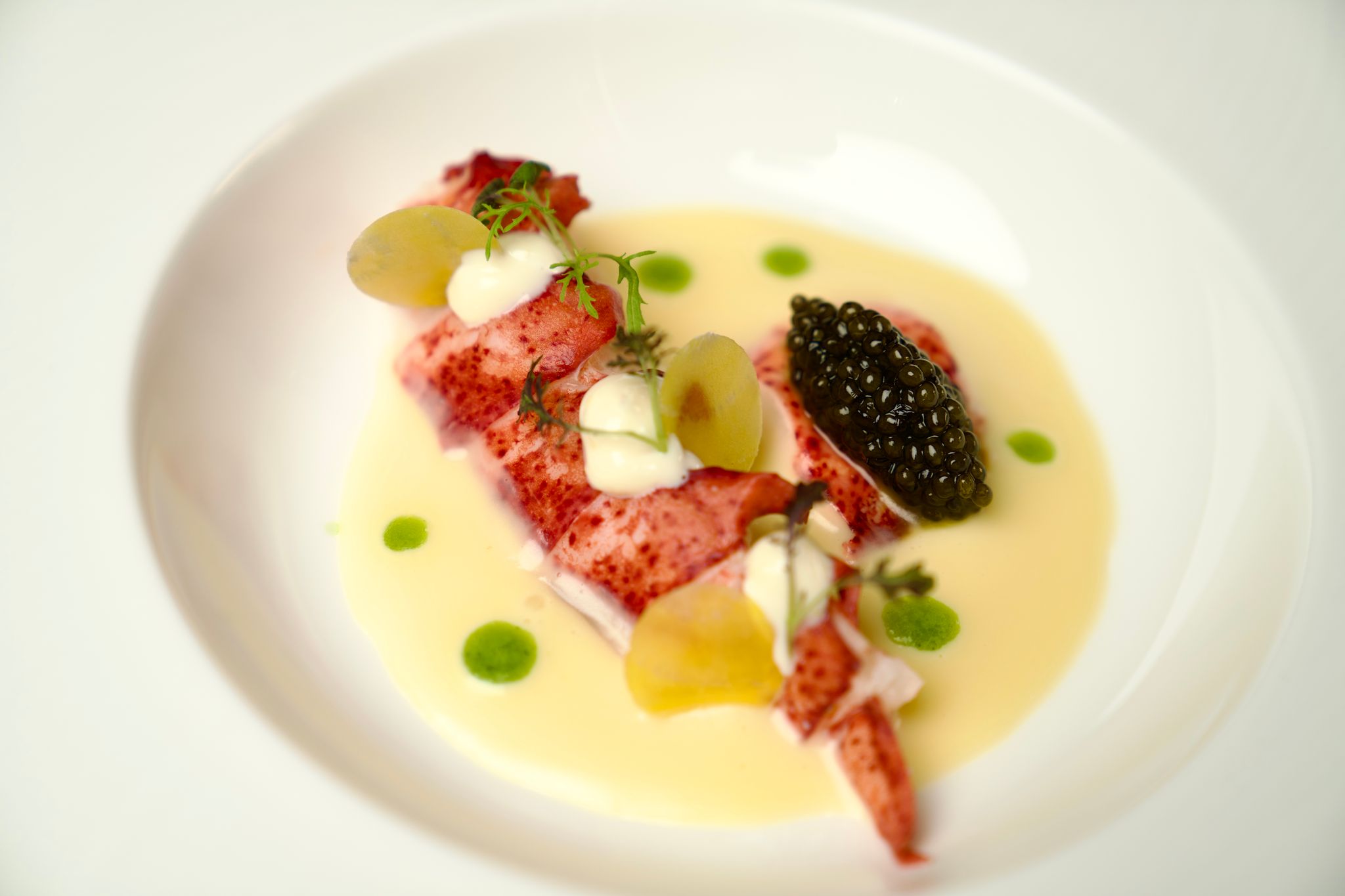 炭燒22頭南非黃花魚花膠