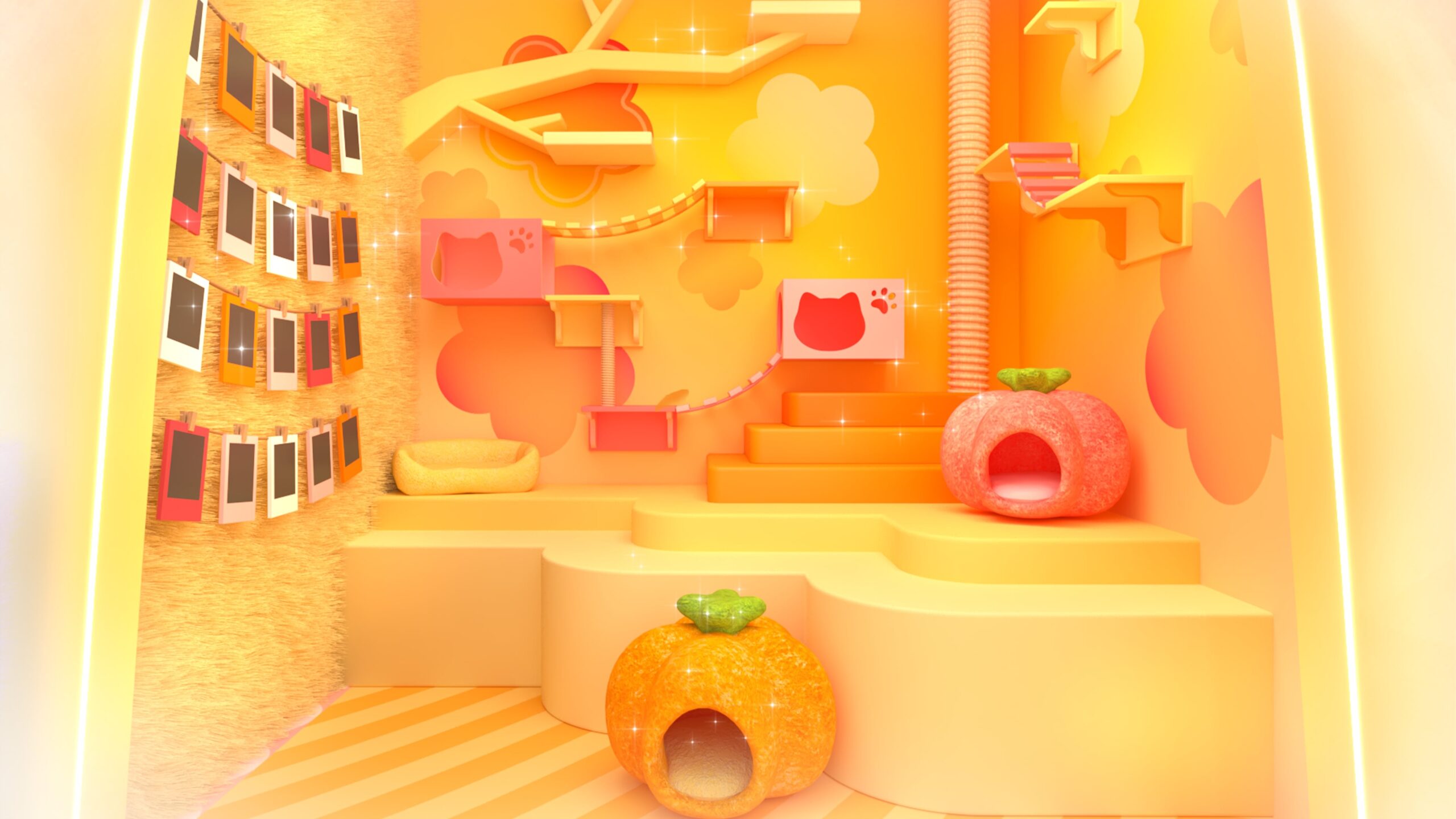 金黃色毛冷貓咪小屋。