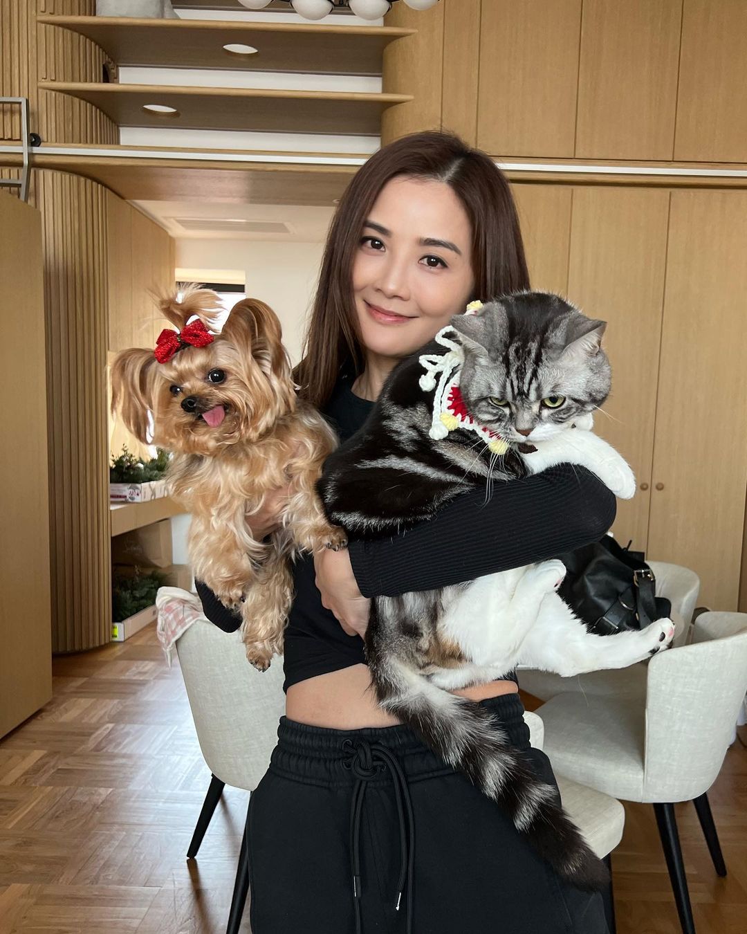 屬狗明星代表:蔡卓妍