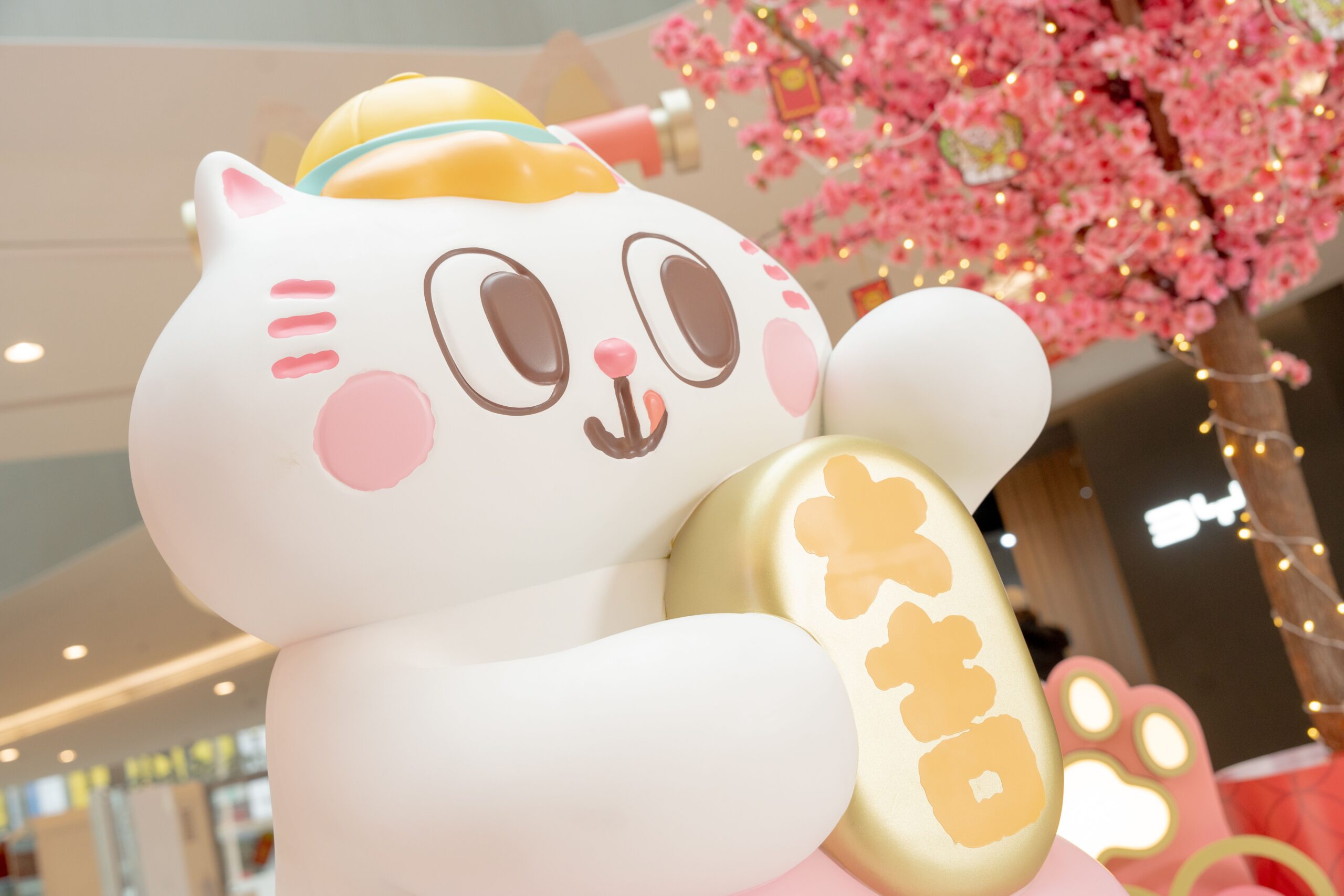 貓貓好得意呀！