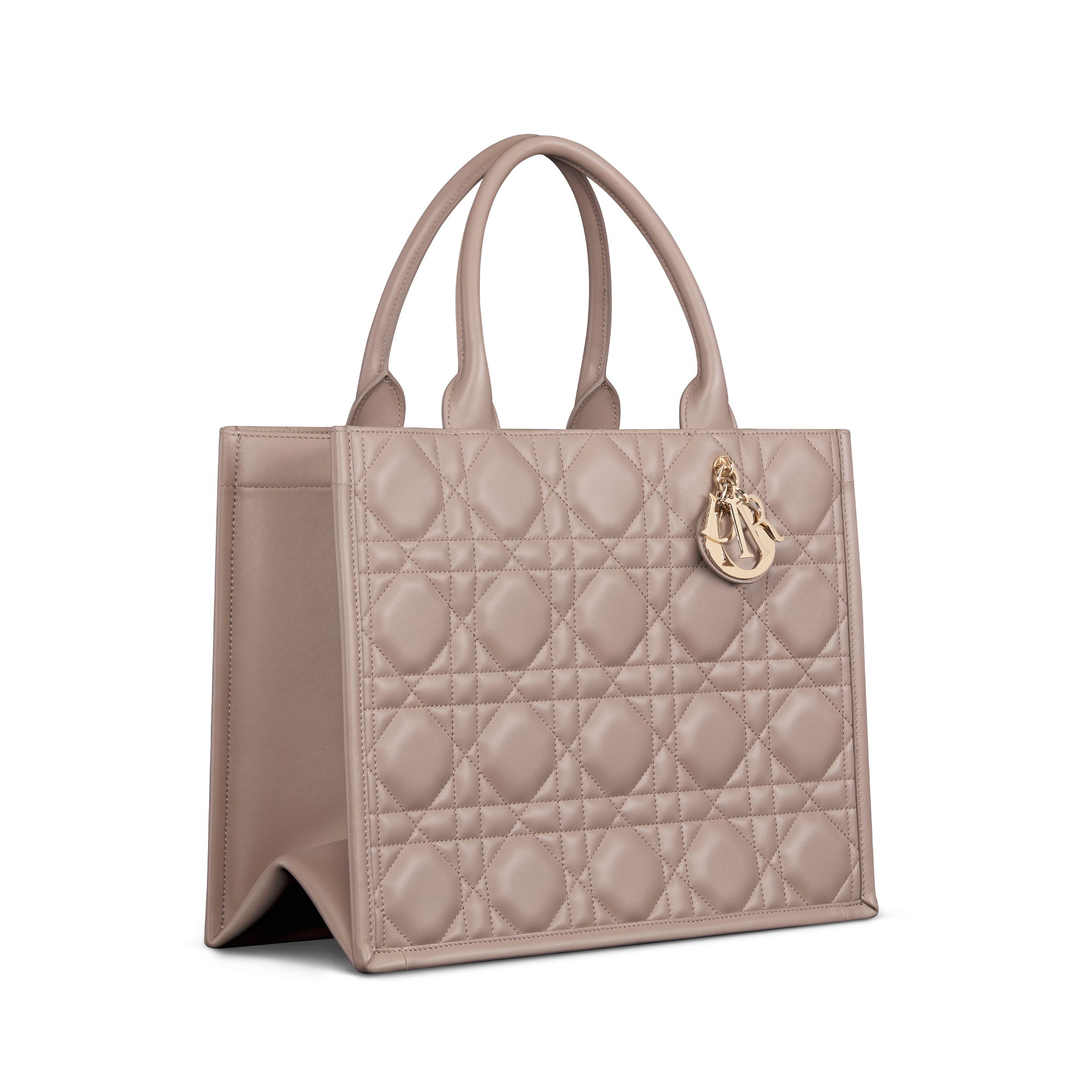 Dior Book Tote MEDIUM $33,500