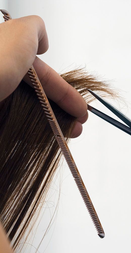 第五招：定期修剪頭髮