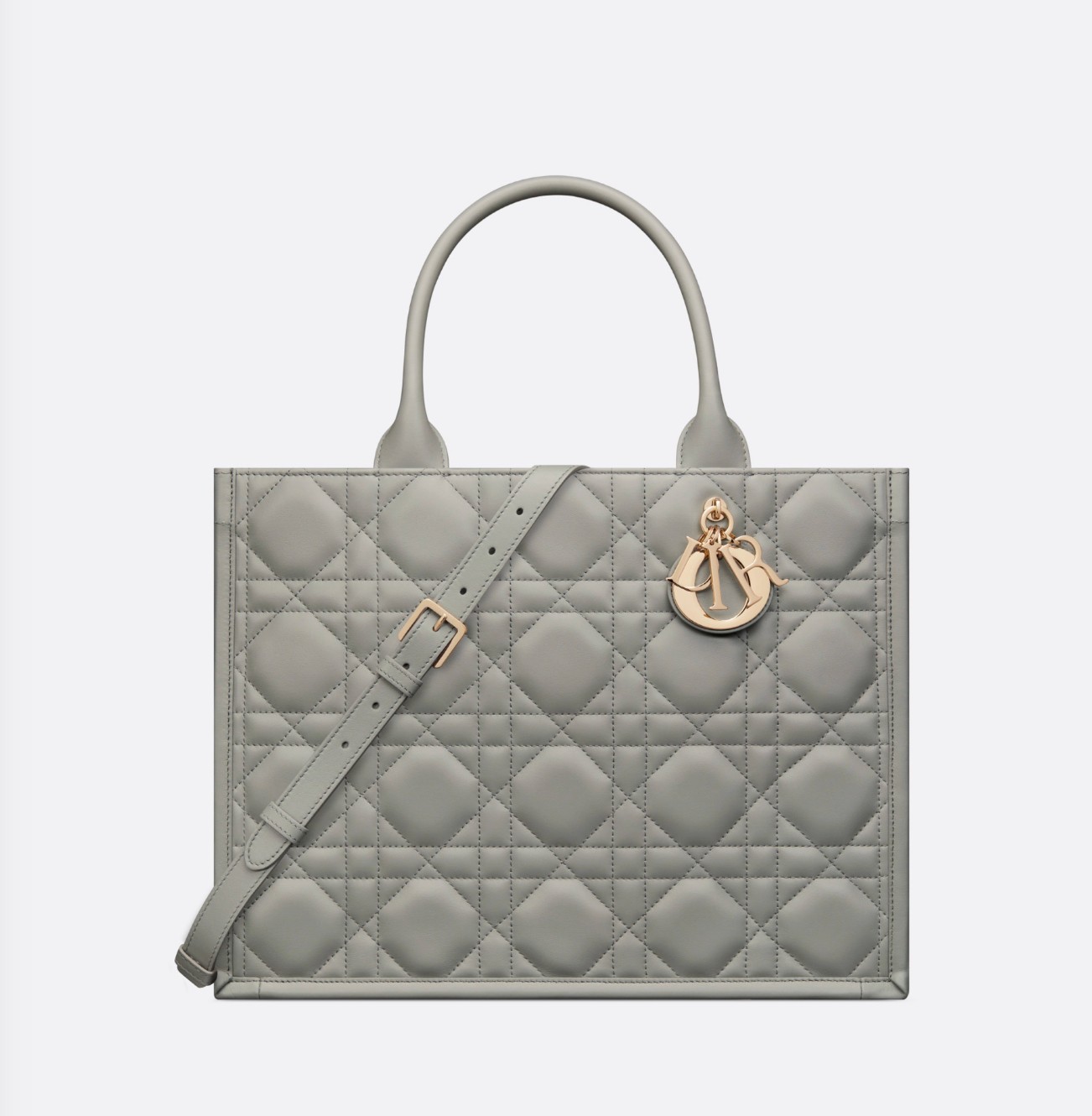 Dior Book Tote MEDIUM