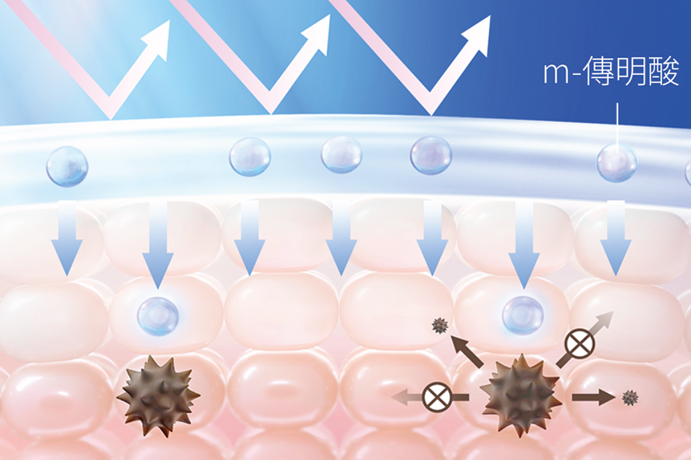 m-傳明酸分子比維他命C更小，可滲透至真皮層，並從肌底根源抑制黑色素生成、預防色斑雀斑！
