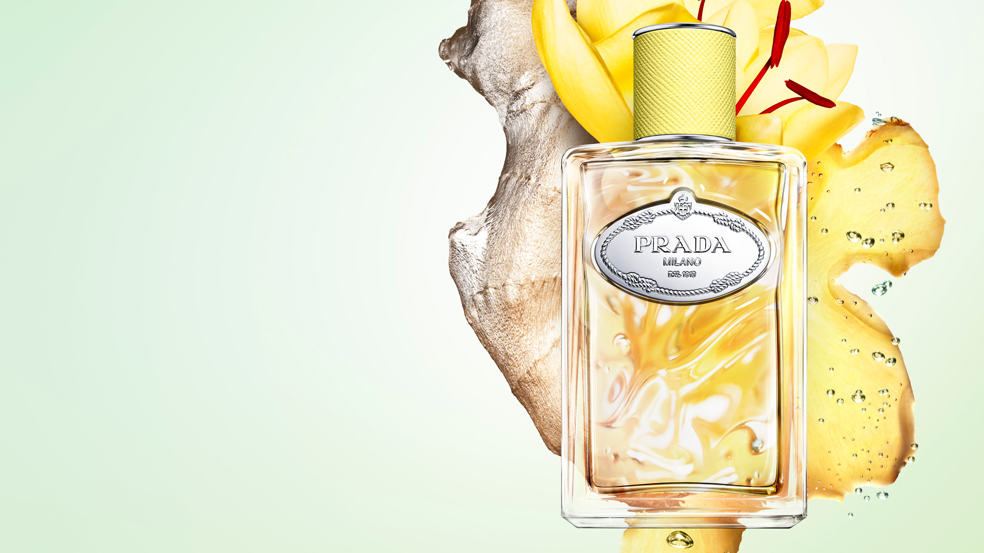 Prada Beauty Infusion de Gingembre 香水 $1,840 /100ml