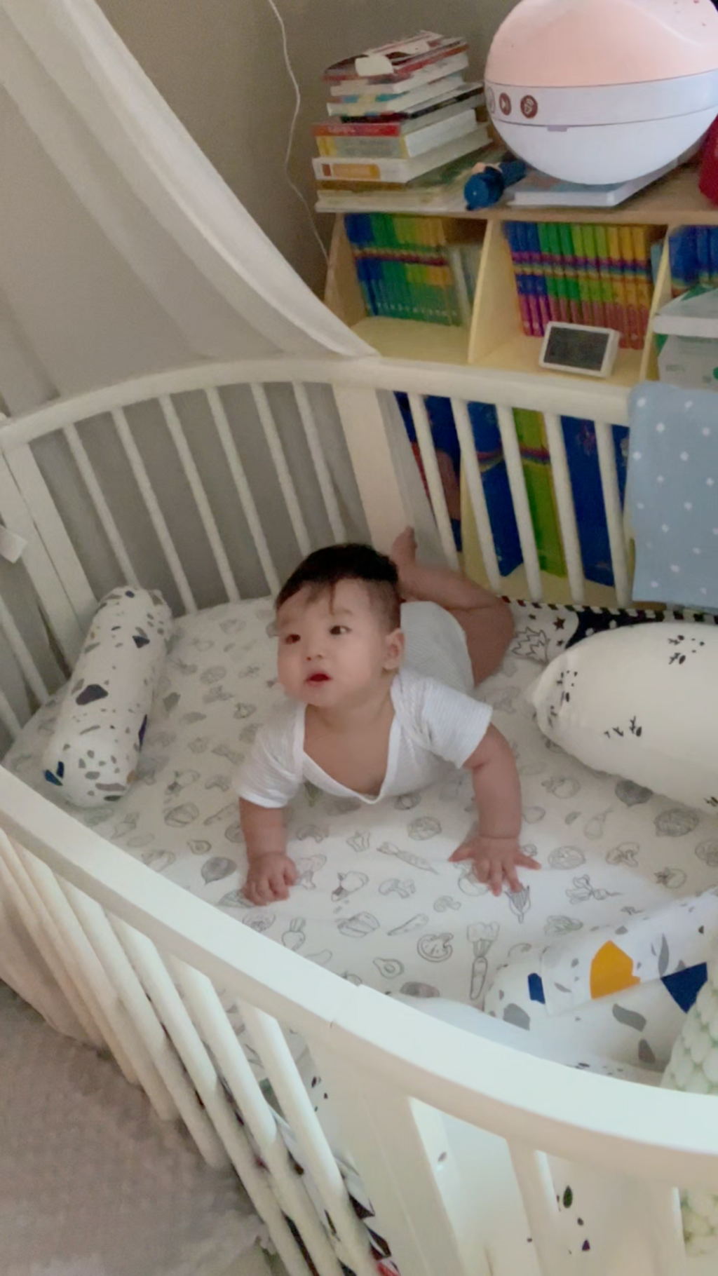 袁咕碌的BB床售價逾1萬。