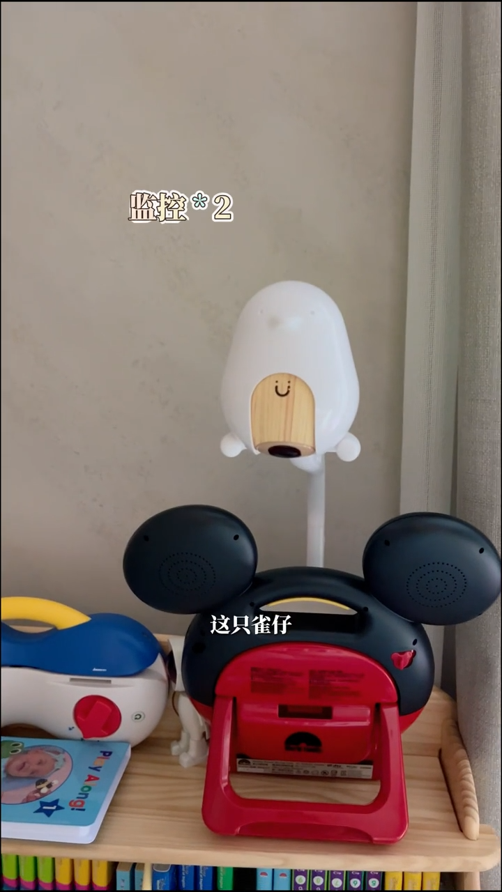 迷你攝影機監視器。