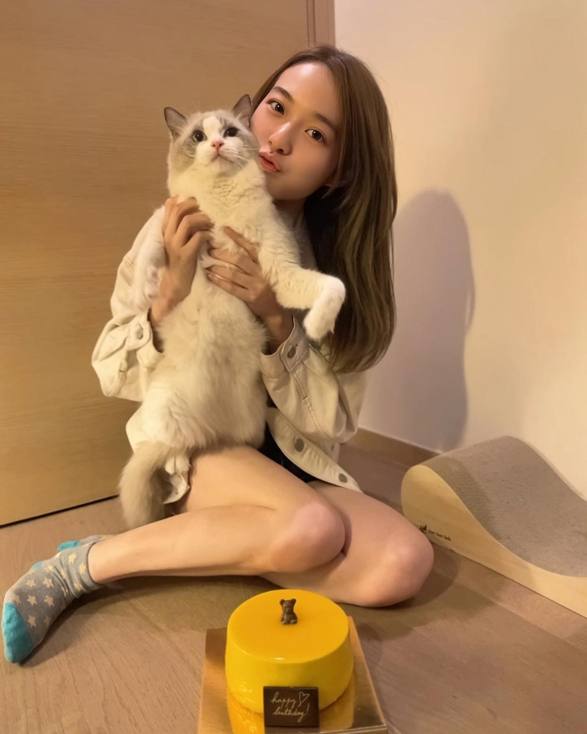 有錢到養名種貓。