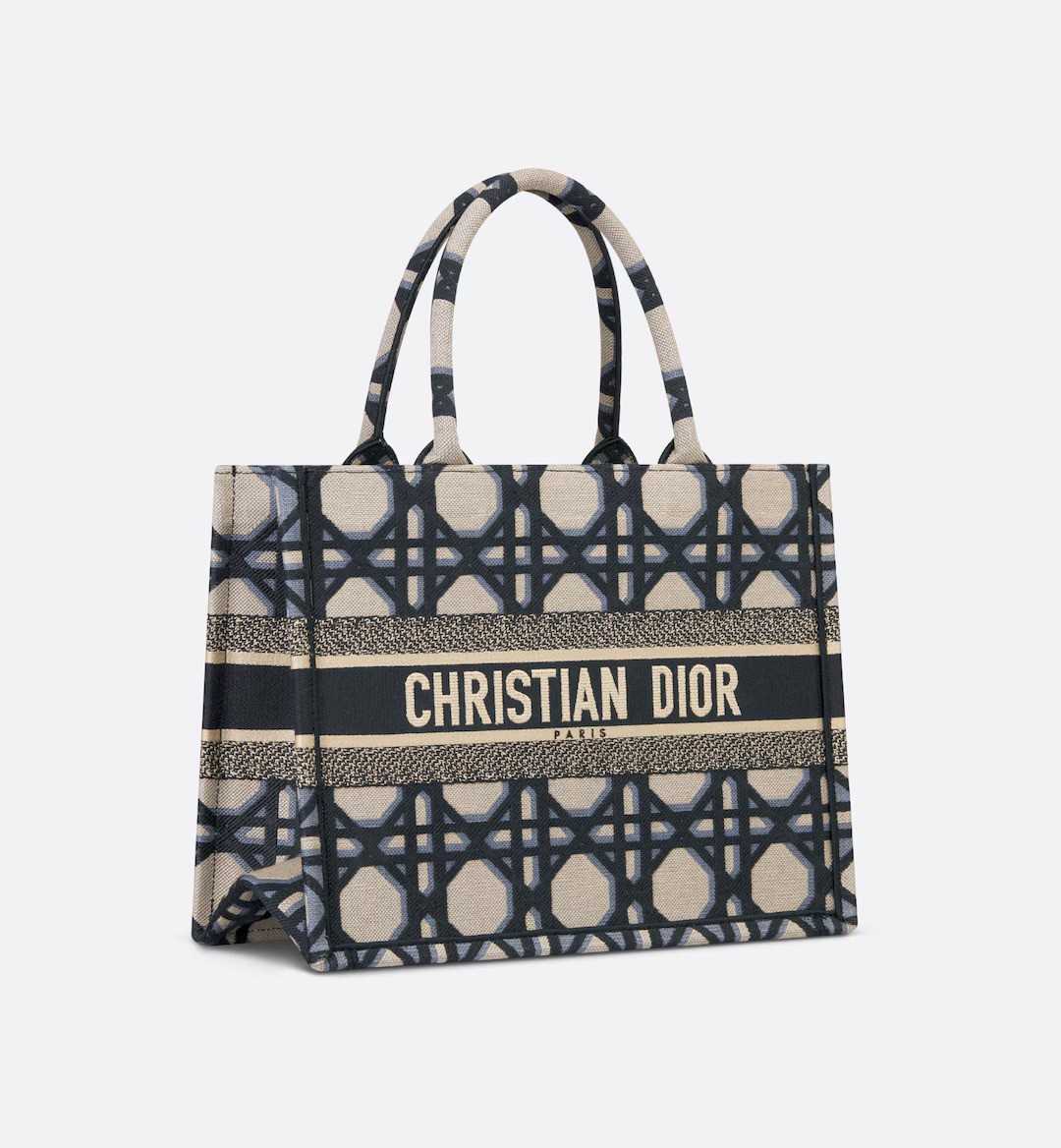 Dior Book Tote容量夠大,可收納所有日常必需品。