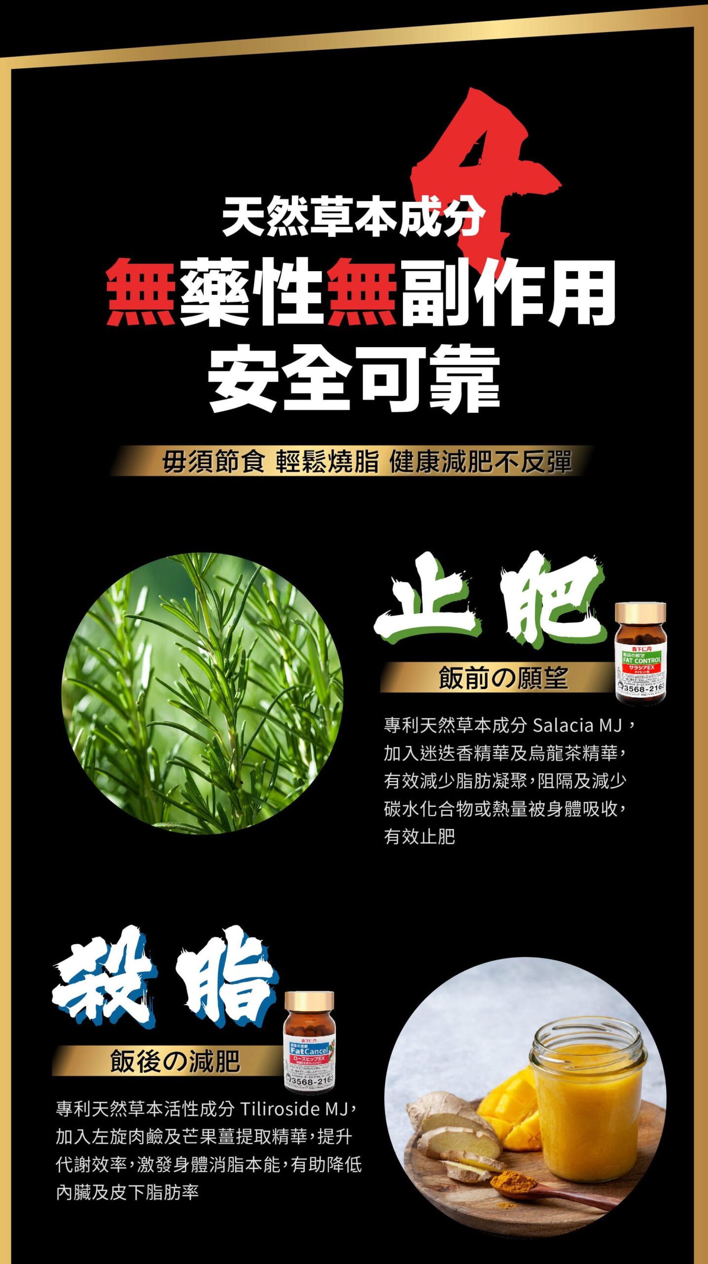 止肥的「飯前の願望FatControl」及減肥的「飯後の減肥FatCancel」。