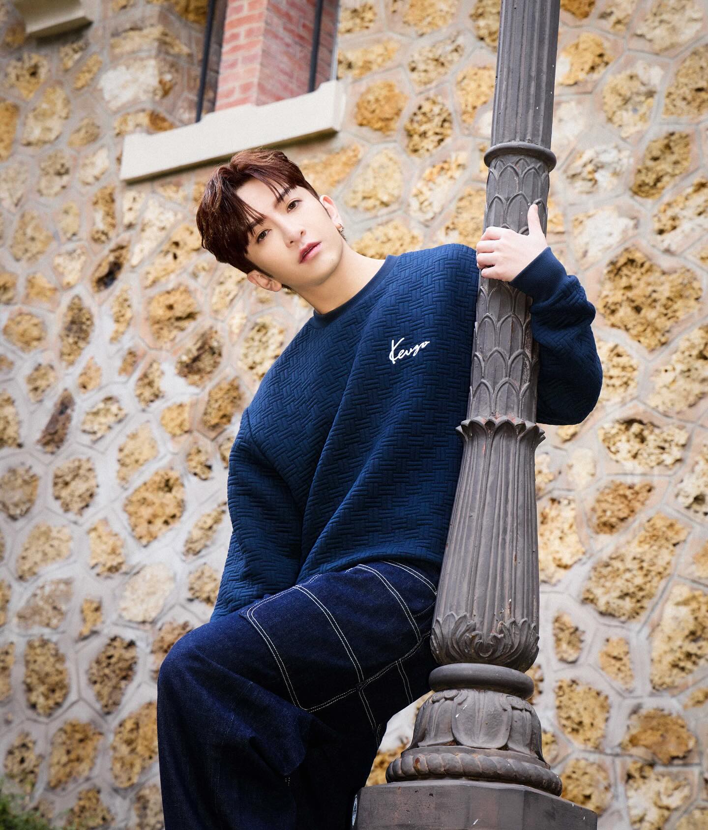 屬豬明星代表:Anson Lo盧瀚霆